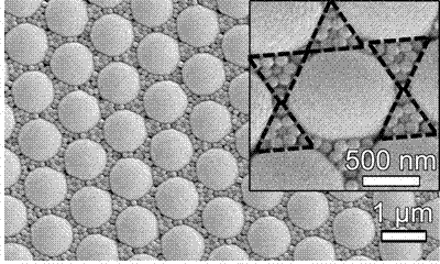 Binary ordered colloidal crystal, metal nano array and preparation method thereof