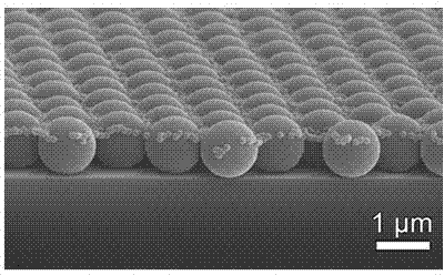 Binary ordered colloidal crystal, metal nano array and preparation method thereof