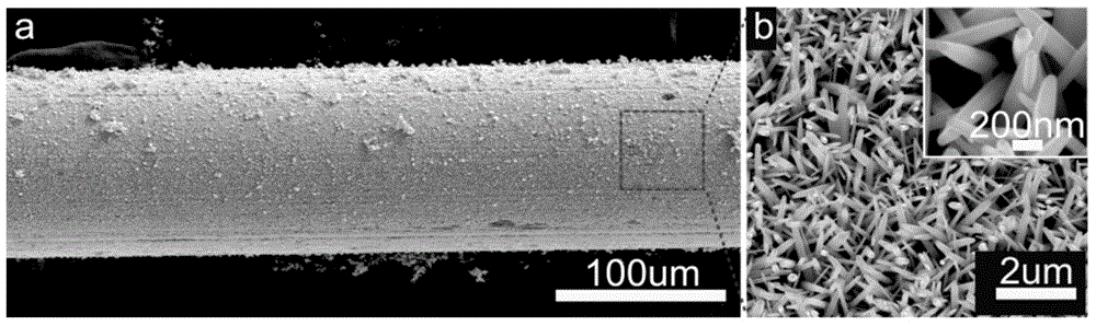 Surface-enhanced Raman scattering device and its preparation method and application