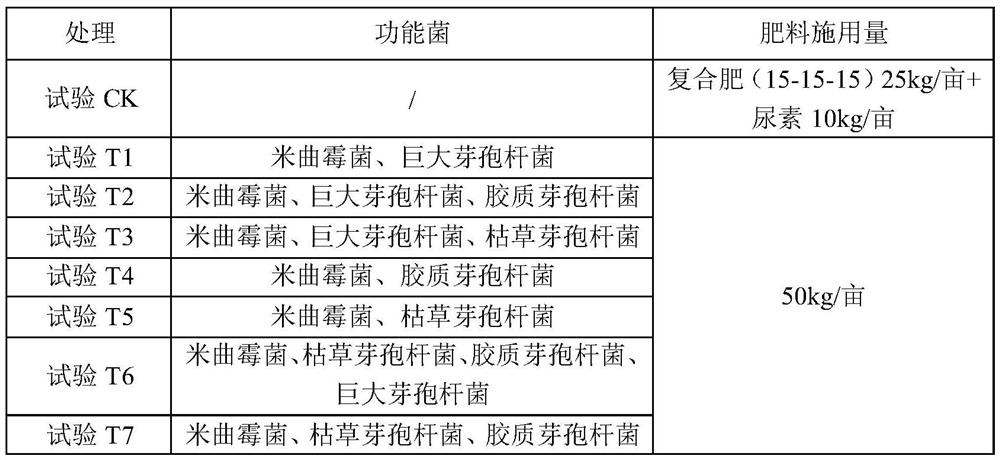 Special fertilizer for improving ecological environment of rice soil and application method thereof