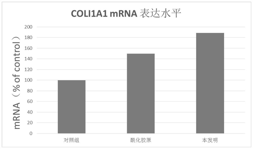 Active collagen lyophilized powder and preparation method thereof