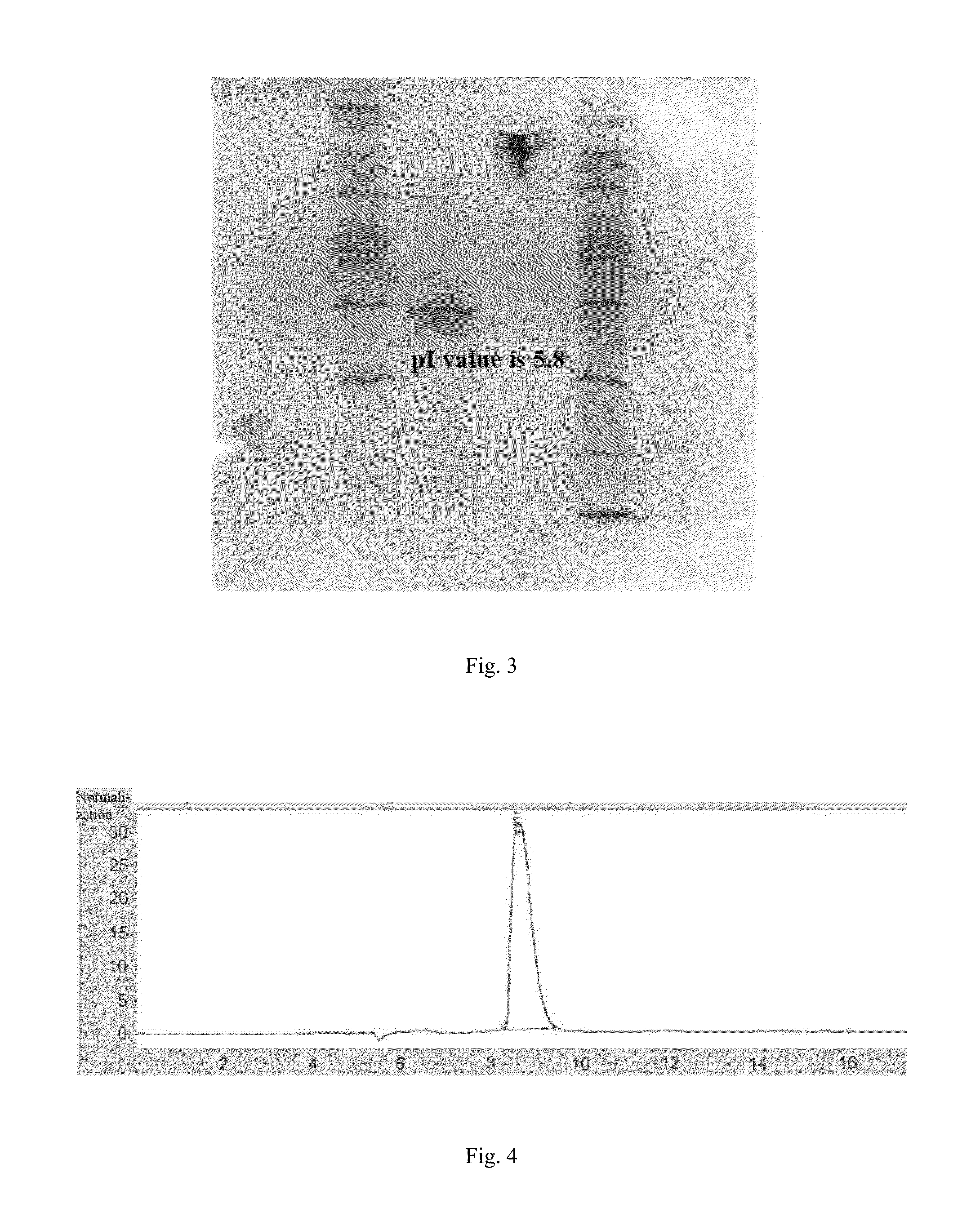 Fusion protein of exendin-4 and its analog, preparation method and use thereof