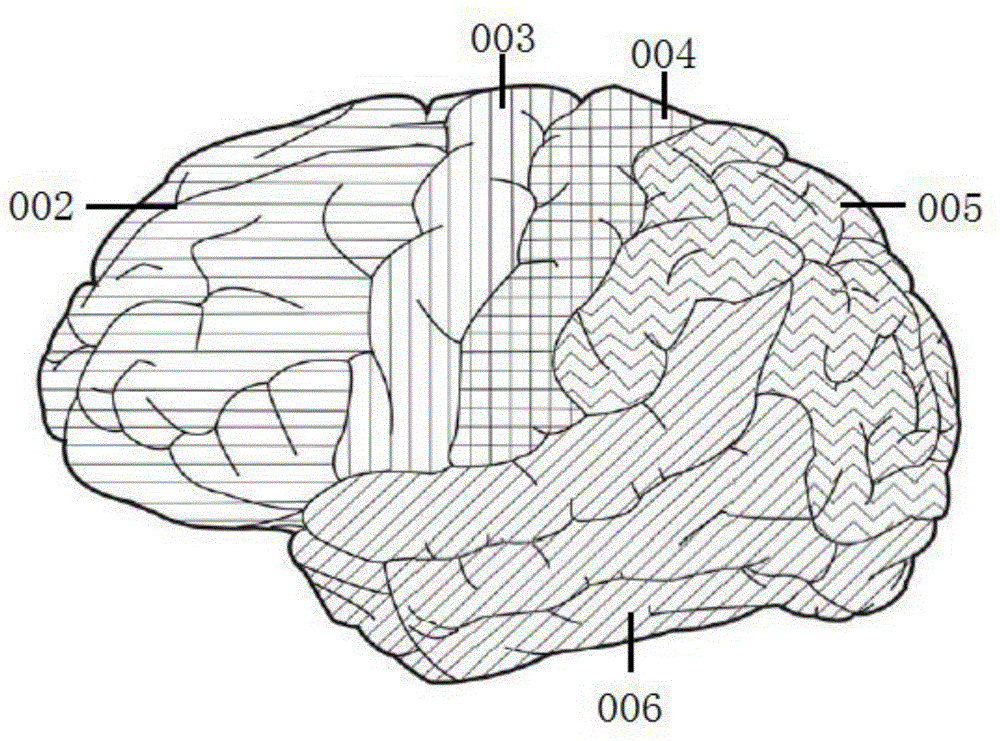 Method for marking human body model map for diagnosis