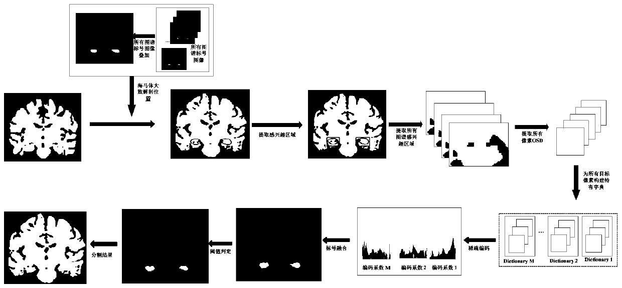 A Multi-Atlas Image Segmentation Method Based on Orientation and Scale Descriptors