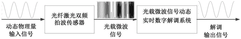 Optical carrier microwave signal dynamic wideband real-time digital demodulation system