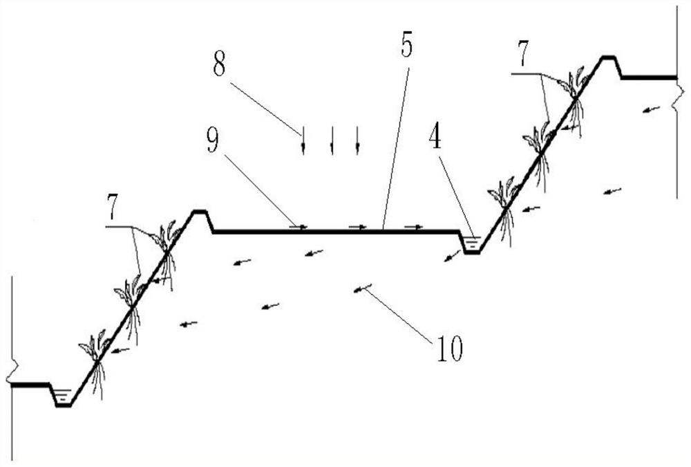 Ecological isolation strip terrace and construction method thereof