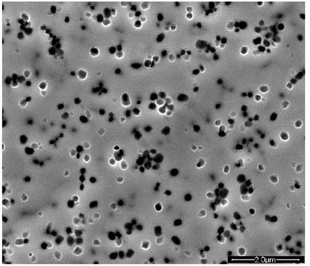 Preparation method of Hastelloy surface coating