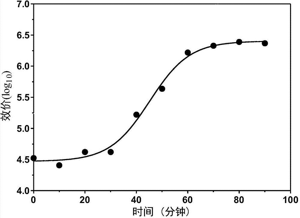 Vibrio alginolyticus bacteriophage and application thereof to prevention of sea cucumber disease