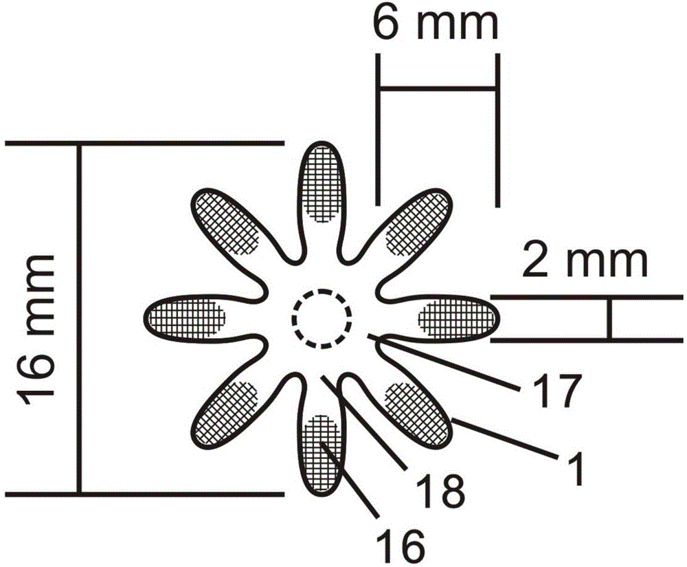 A microfluidic paper-based chip for detecting hepatitis C virus antibody and its preparation method