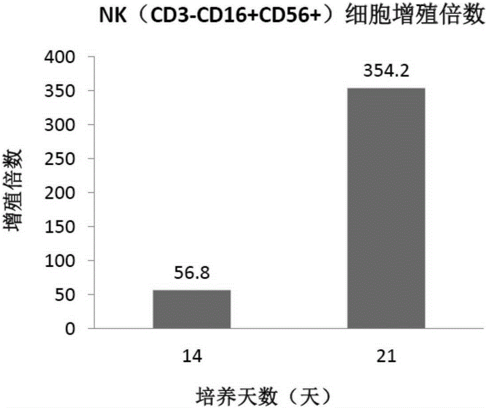 Method for amplifying NK cells through in-vitro cultivation