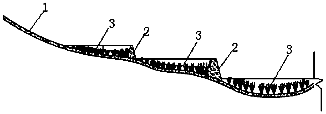 Terrace field type ecology landscape lake and construction method thereof