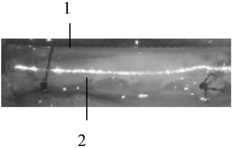 Bionic nerve graft used for peripheral nervous recovery and preparation method thereof