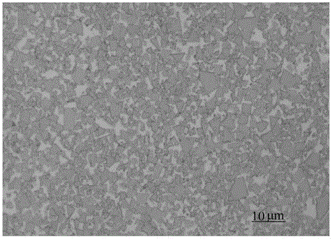 Hard alloy mold material for fastener formed through cold upsetting and preparation method of hard alloy mold material