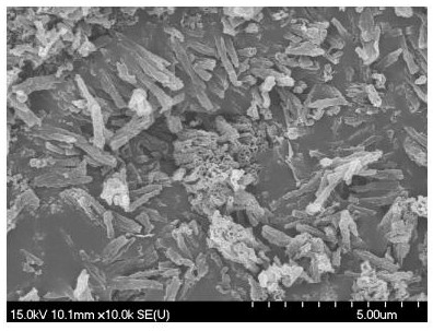 A kind of composite platinum nanoparticle and metal nitride material catalyst and its preparation method and application