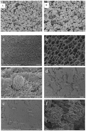 A kind of polyacrylamide/microsphere composite gel and preparation method thereof