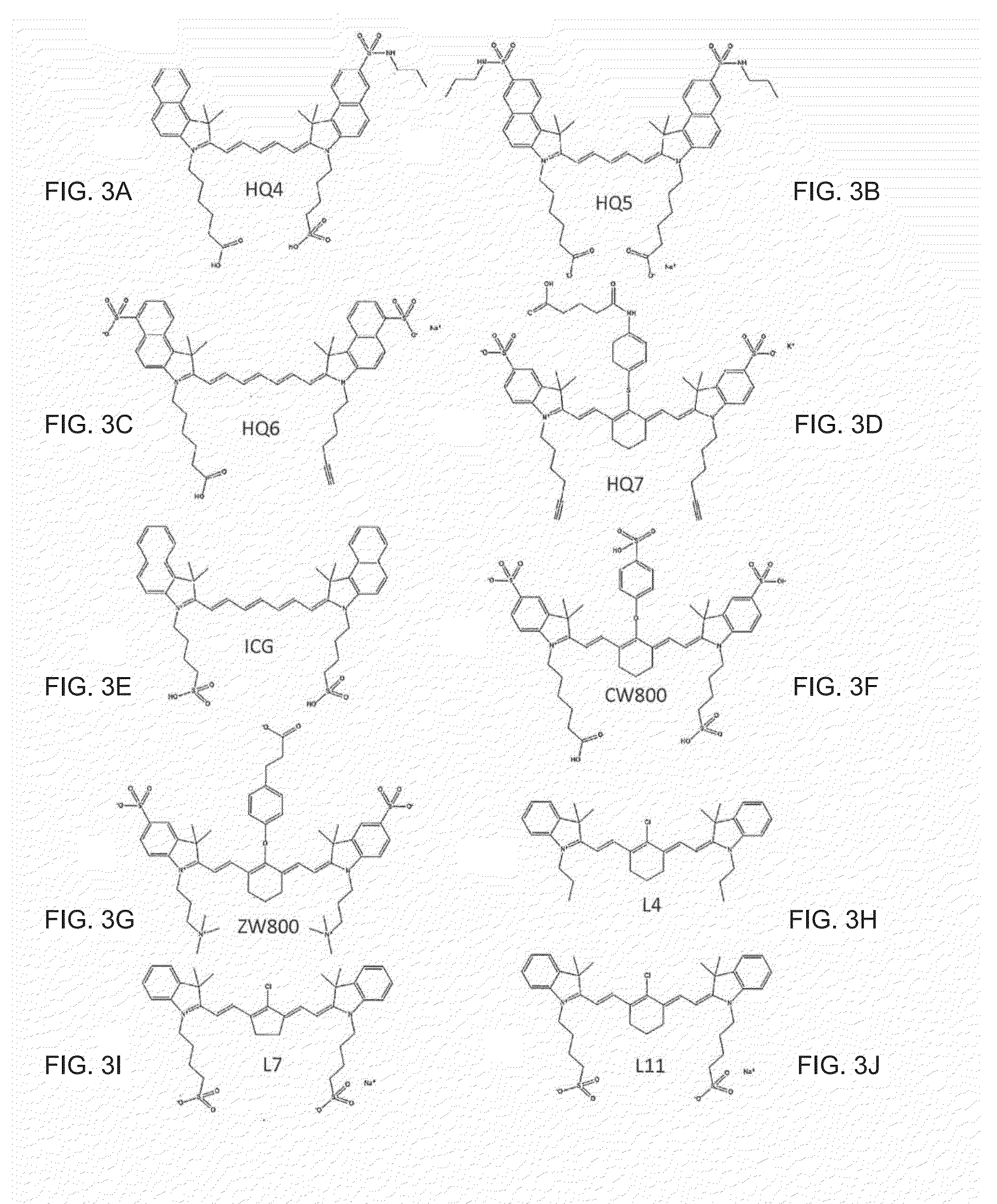 Groundbreaking Platform Technology for Specific Binding to Necrotic Cells