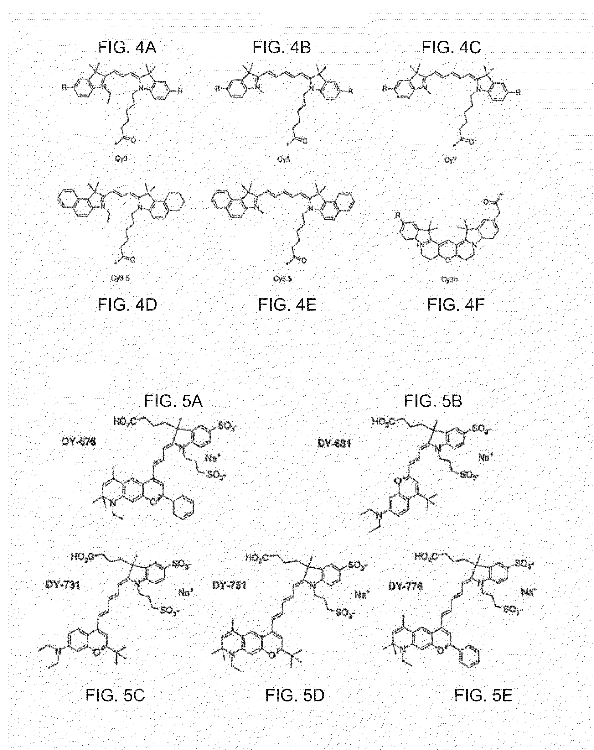 Groundbreaking Platform Technology for Specific Binding to Necrotic Cells