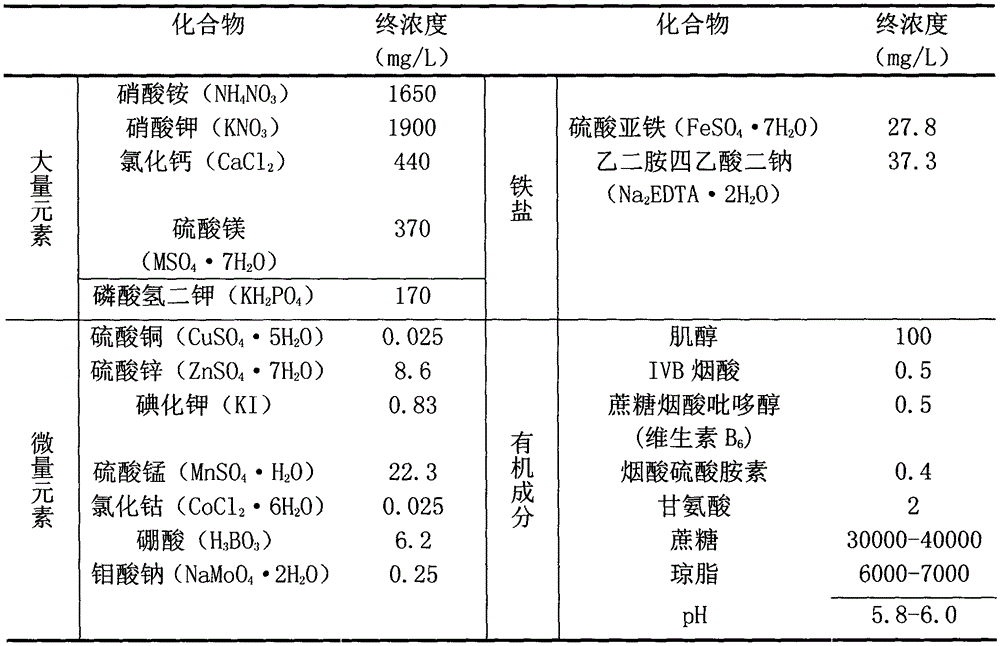 Method of preparing haploid cells of Althaea rosea