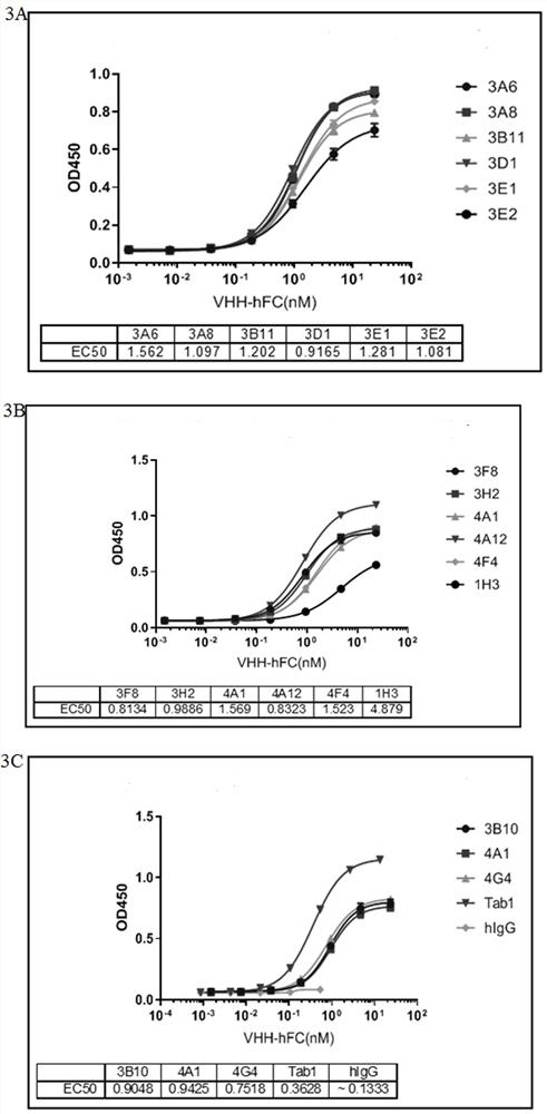 A kind of anti-il-17a single domain antibody and use thereof