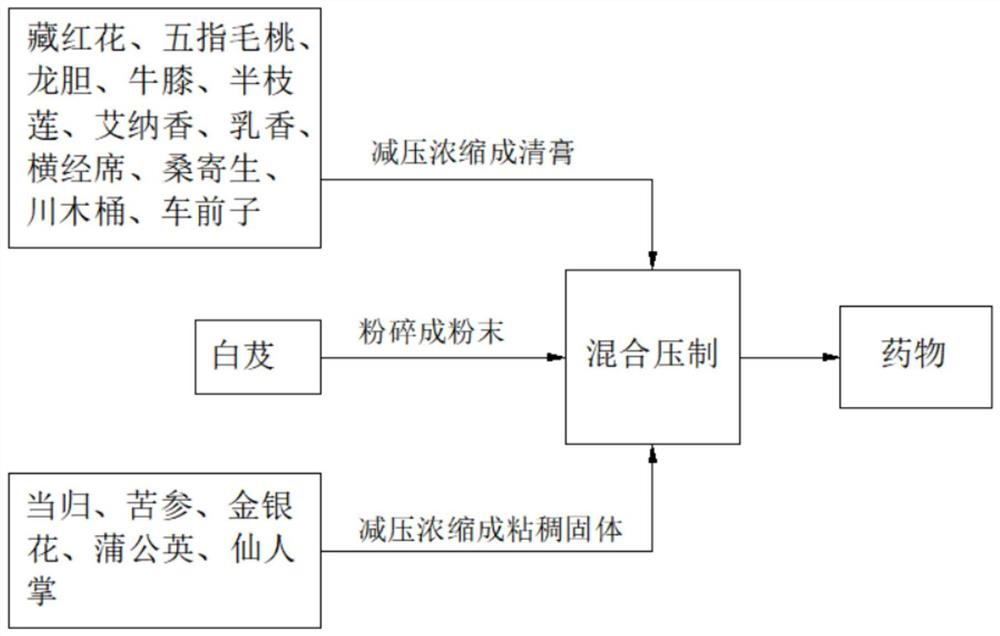 Drug for treating gynecological diseases