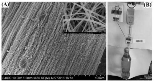 Method for preparing graphene oxide based on gelatin, and application