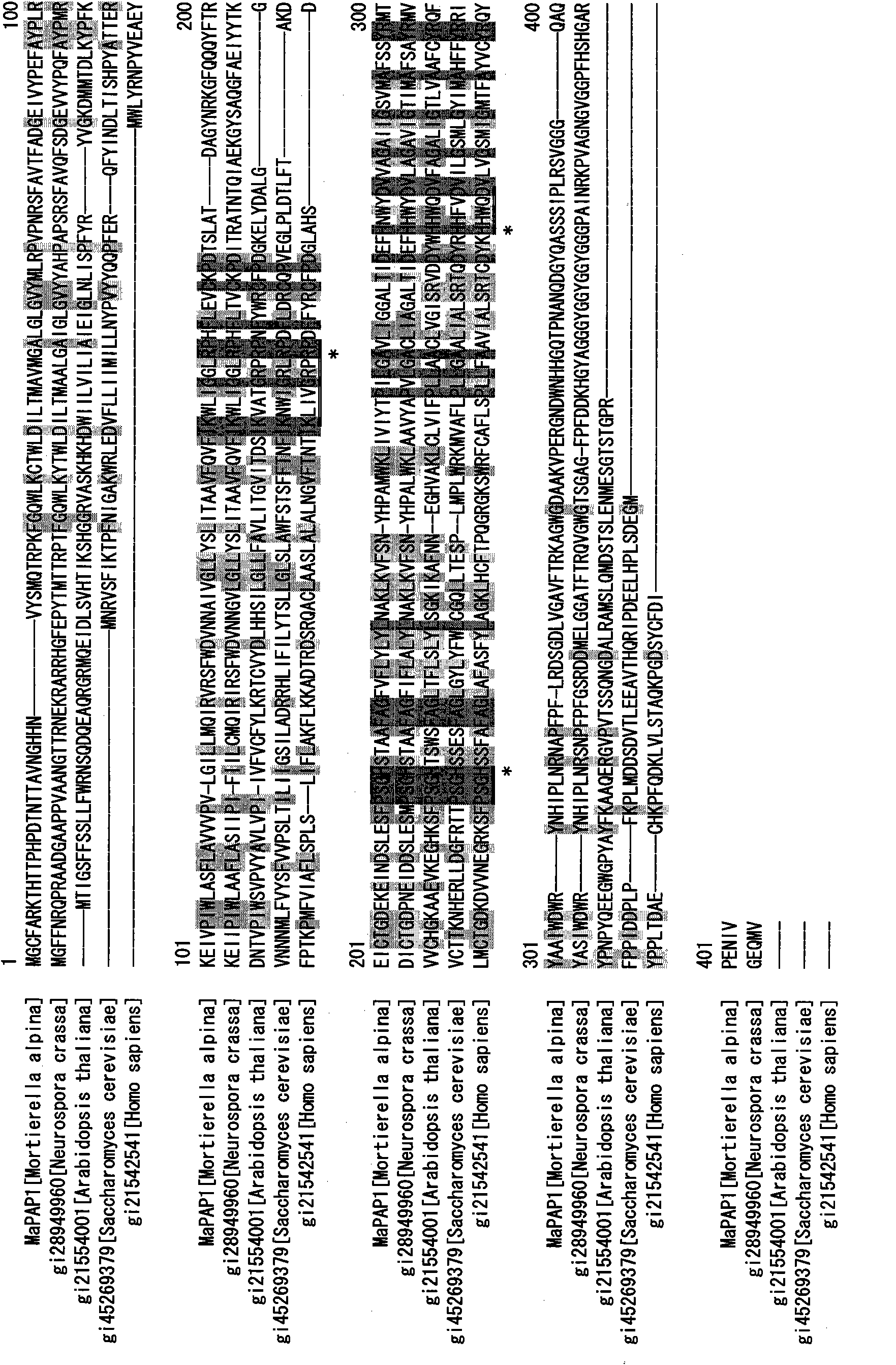 Phosphatidate phosphatase homolog and use of the same