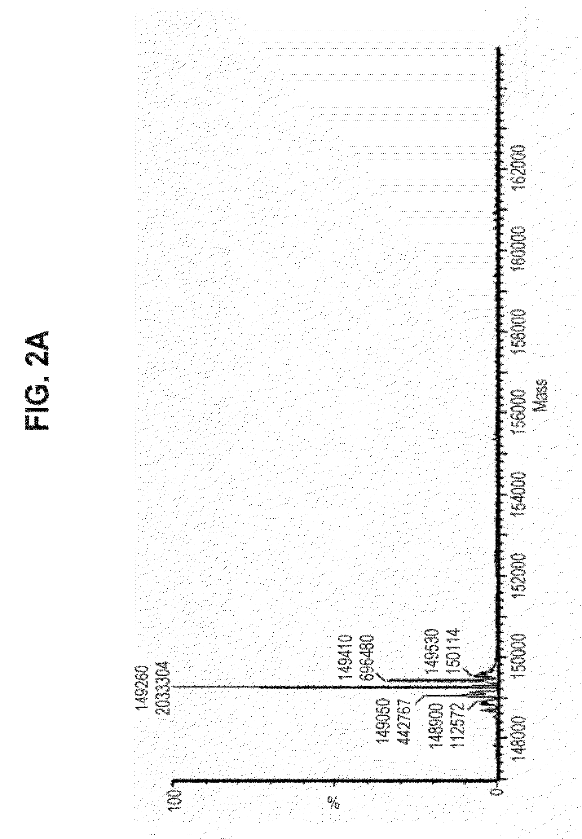 Multifunctional antibody conjugates