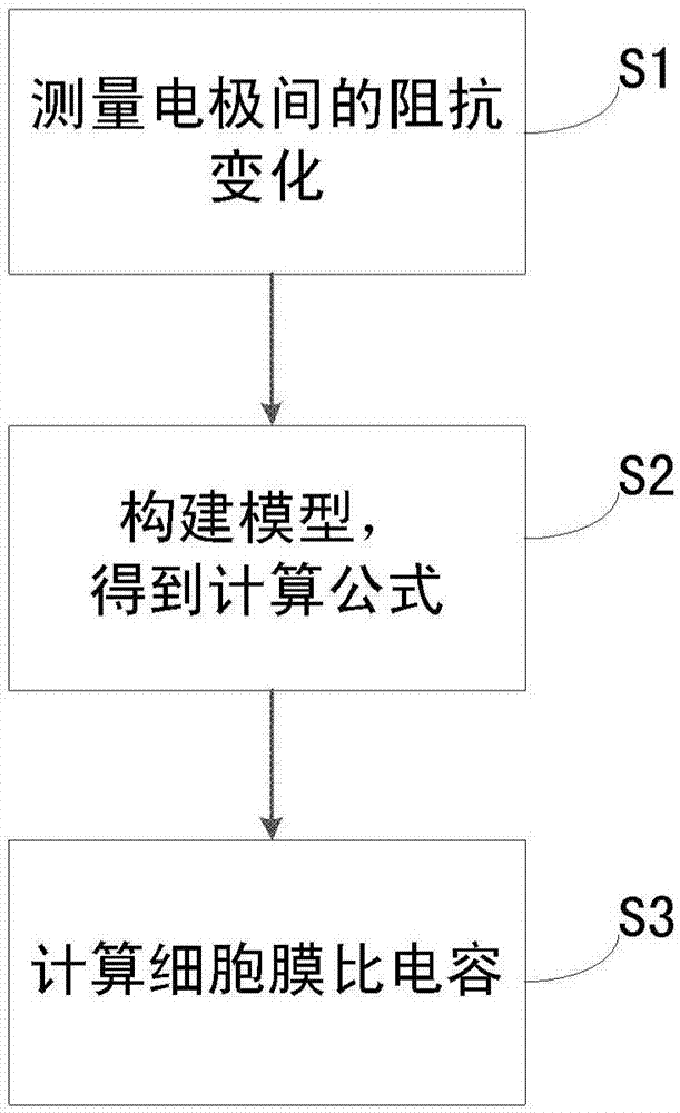 Cell membrane specific capacitance detection system and method