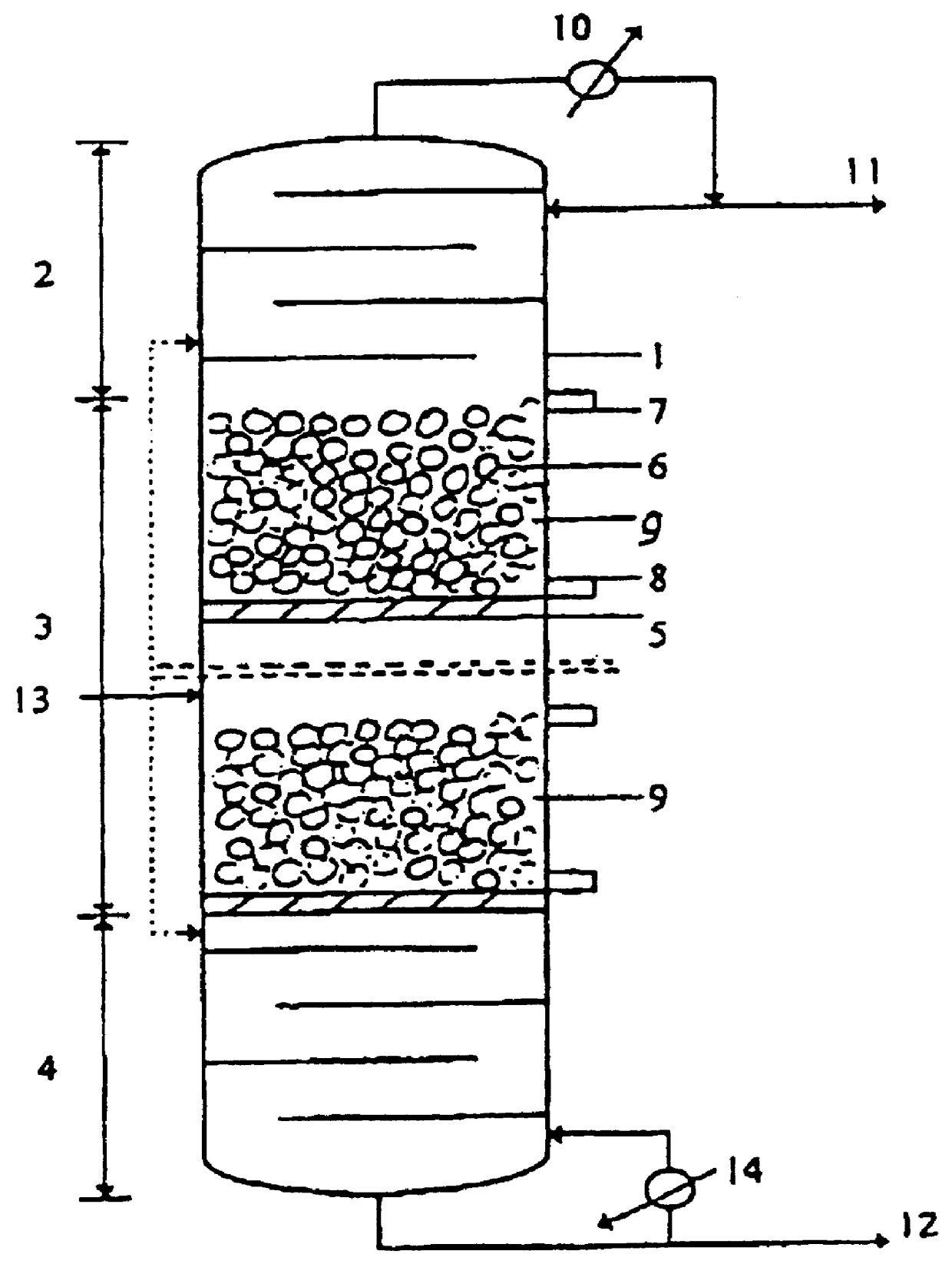 Dual functional catalyst of packing type and the catalytic distillation equipment