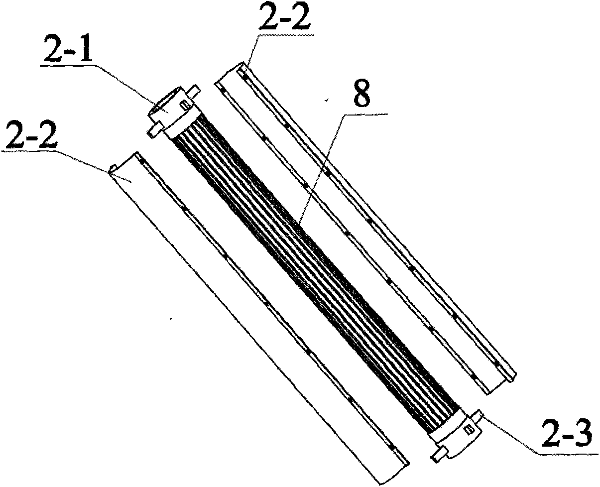 Photosynthetic hydrogen preparation device