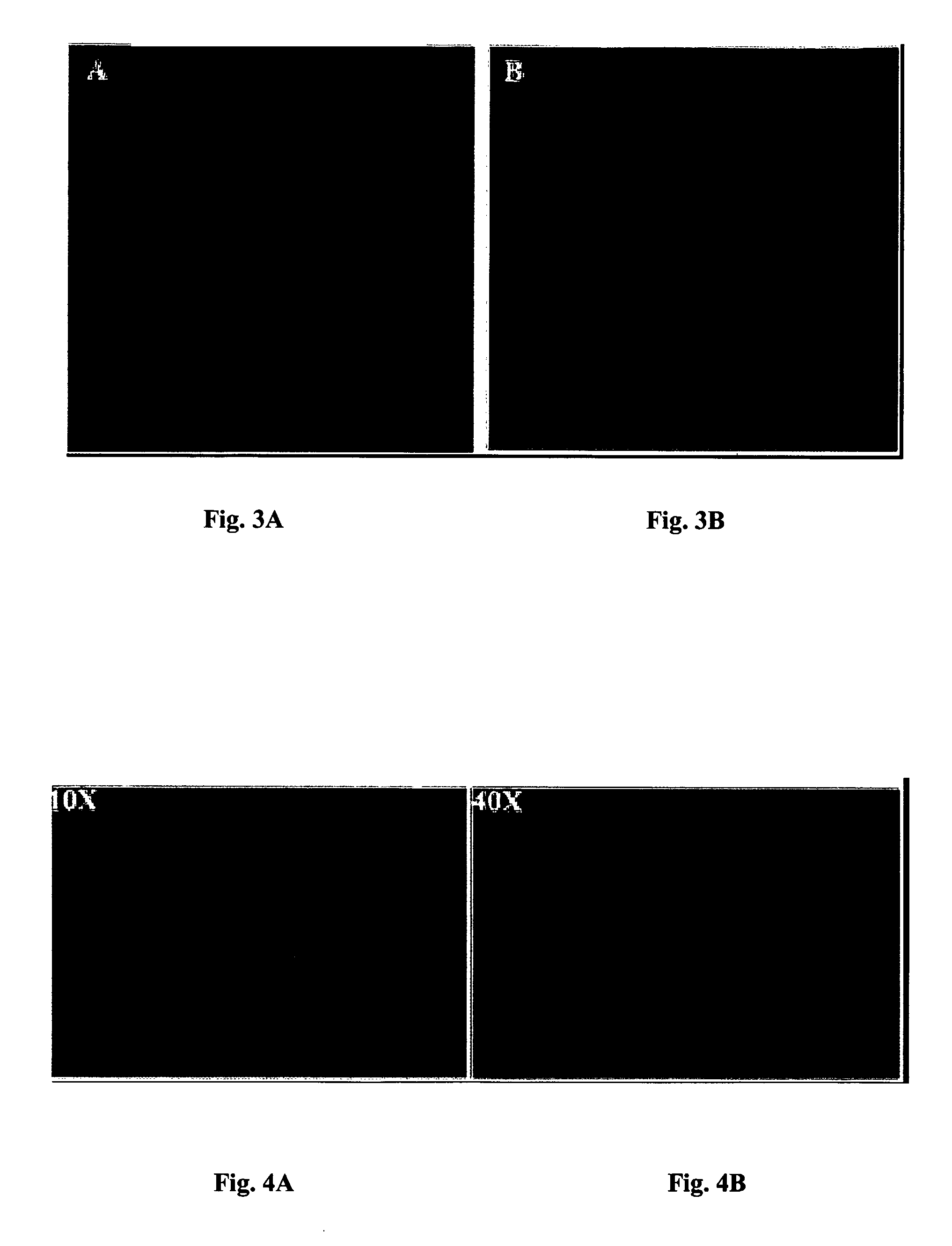 Molecular programming of nanoparticle systems for an ordered and controlled sequence of events for gene-drug delivery