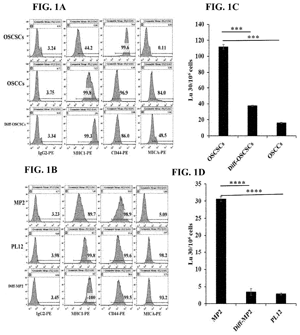 Compositions and methods for immunotherapies