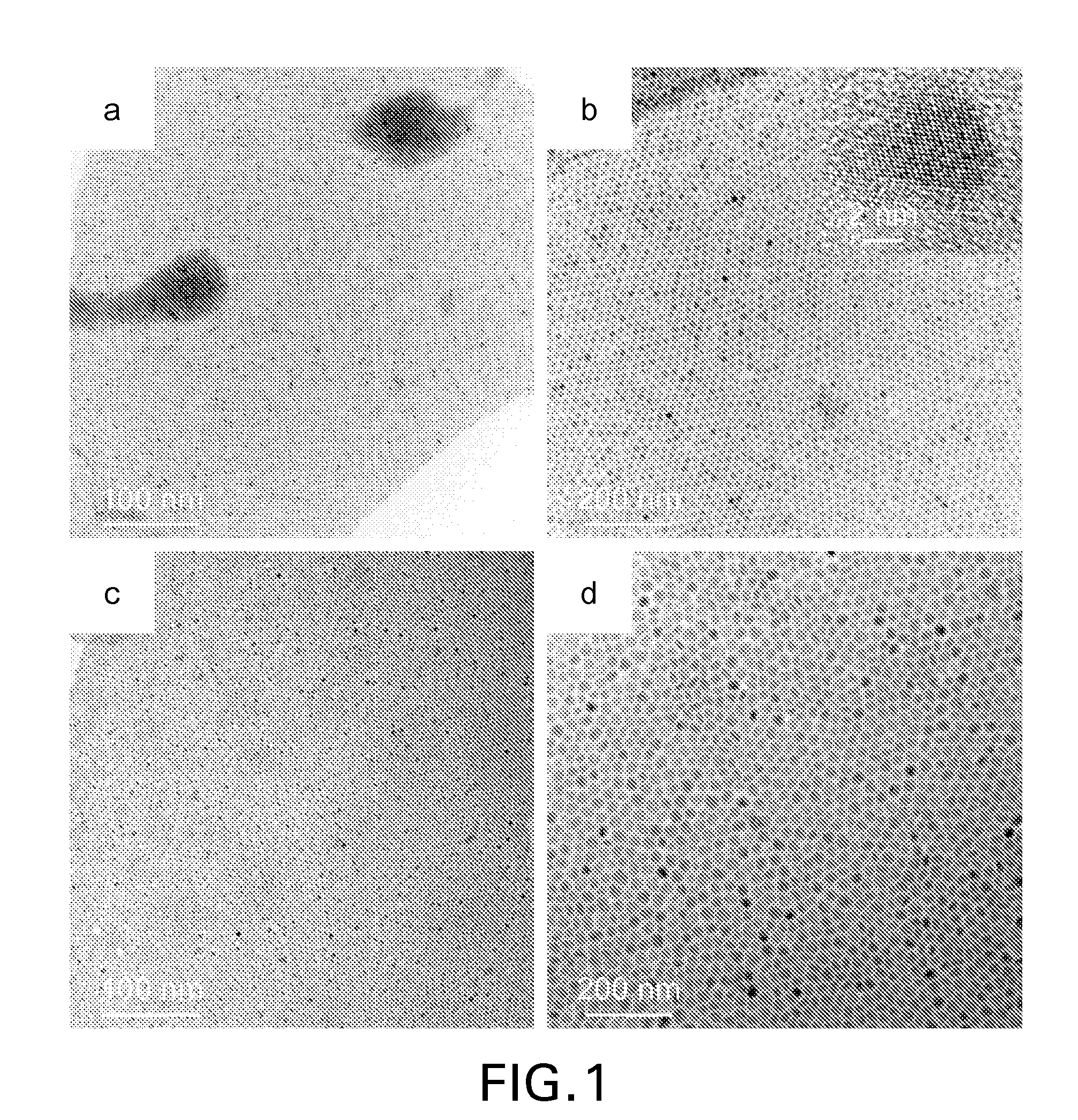 Nanoparticles and methods of making and using