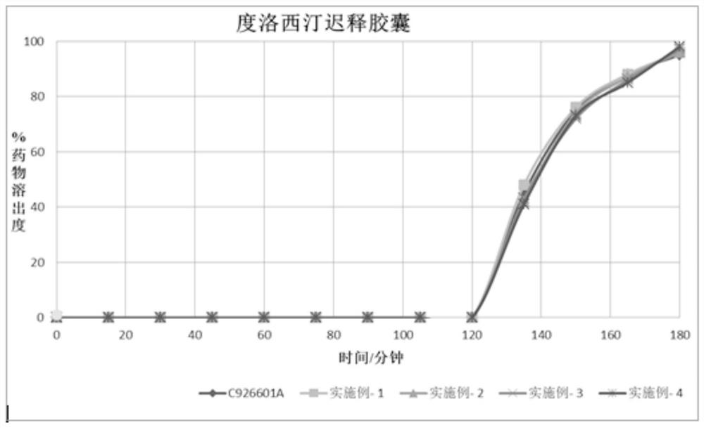 Duloxetine pharmaceutical composition