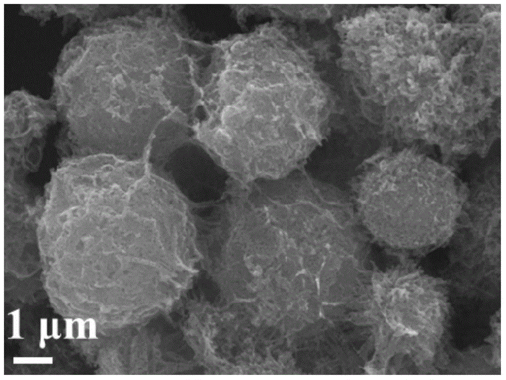 V2O5 hollow micron wire ball with nano wire three-dimensional winding structure and preparation method and application thereof