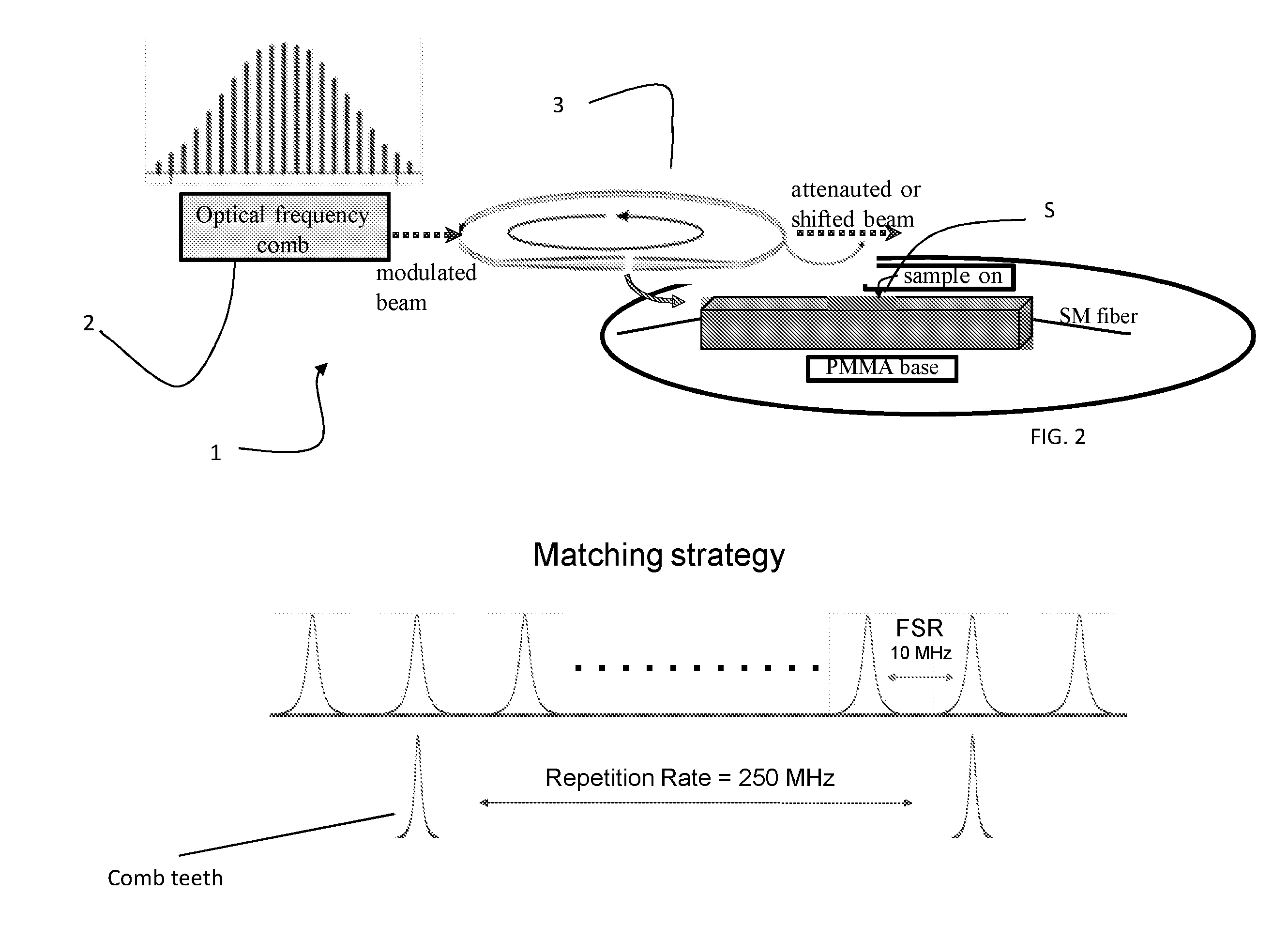 Frequency comb spectroscopy apparatus and method of frequency comb spectroscopy