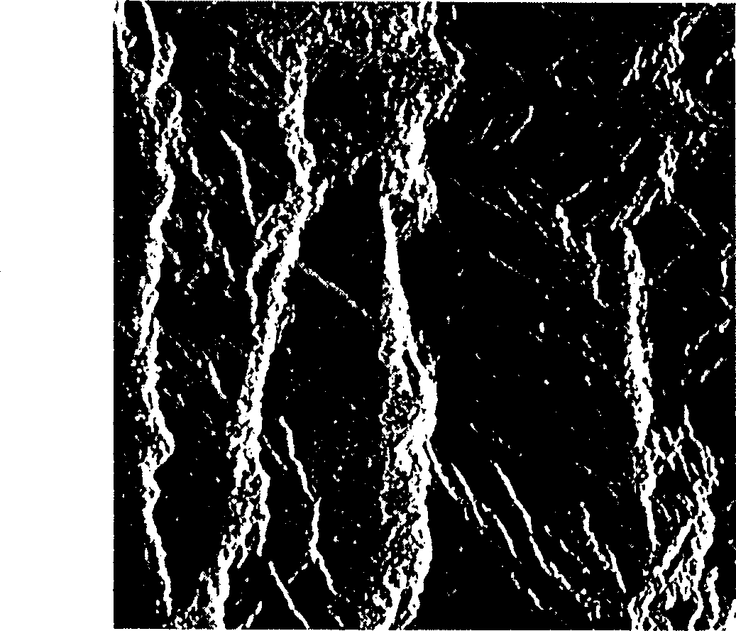 Method for inverse computing digital surficial height from image of synthetic aperture radar in all polarization by one time of flight