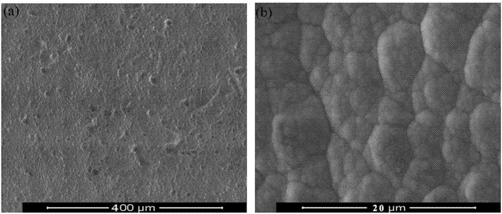 High-hardness wear-resistant thermal-shock-resistant thick tantalum coating and preparation method thereof