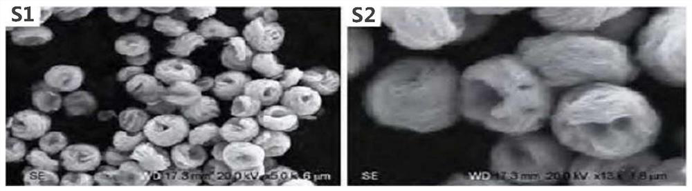 an α-fe  <sub>2</sub> o  <sub>3</sub> /bi  <sub>2</sub> the w  <sub>6</sub> Shell composite photocatalyst and preparation method thereof