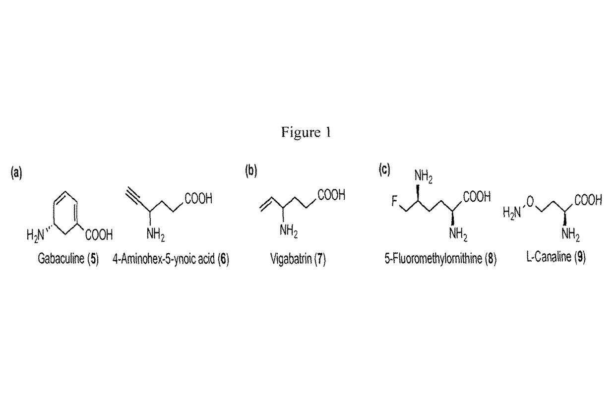 Ornithine aminotransferase inhibition with GABA analogues for treatment of hepatocellular carcinoma