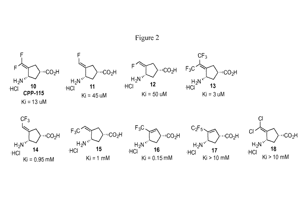 Ornithine aminotransferase inhibition with GABA analogues for treatment of hepatocellular carcinoma