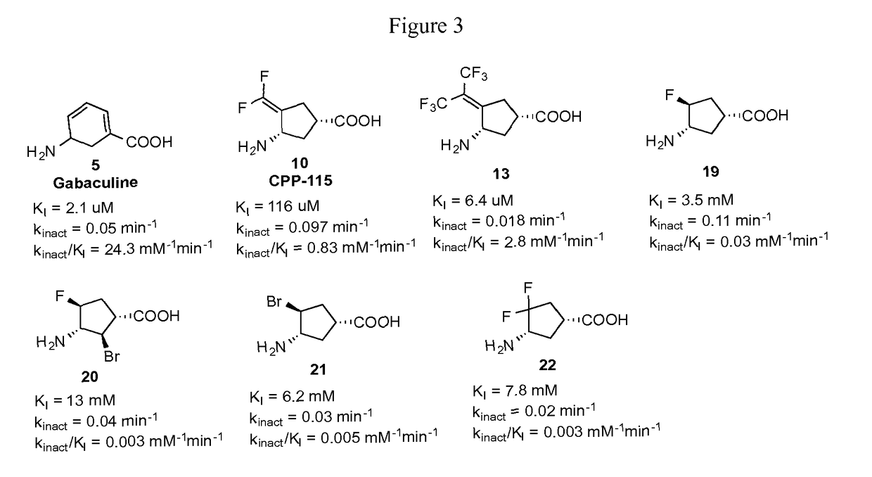 Ornithine aminotransferase inhibition with GABA analogues for treatment of hepatocellular carcinoma