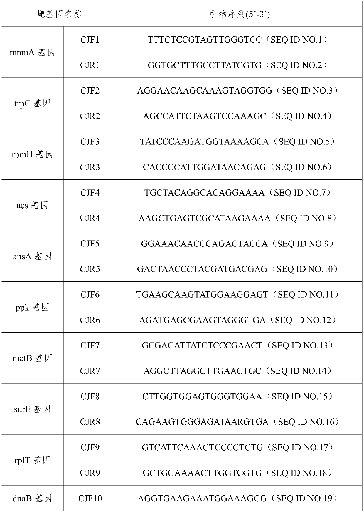 A primer and method for rapid typing of Campylobacter jejuni