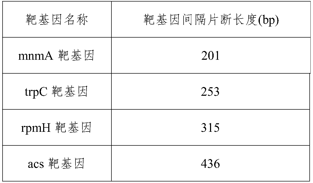 A primer and method for rapid typing of Campylobacter jejuni