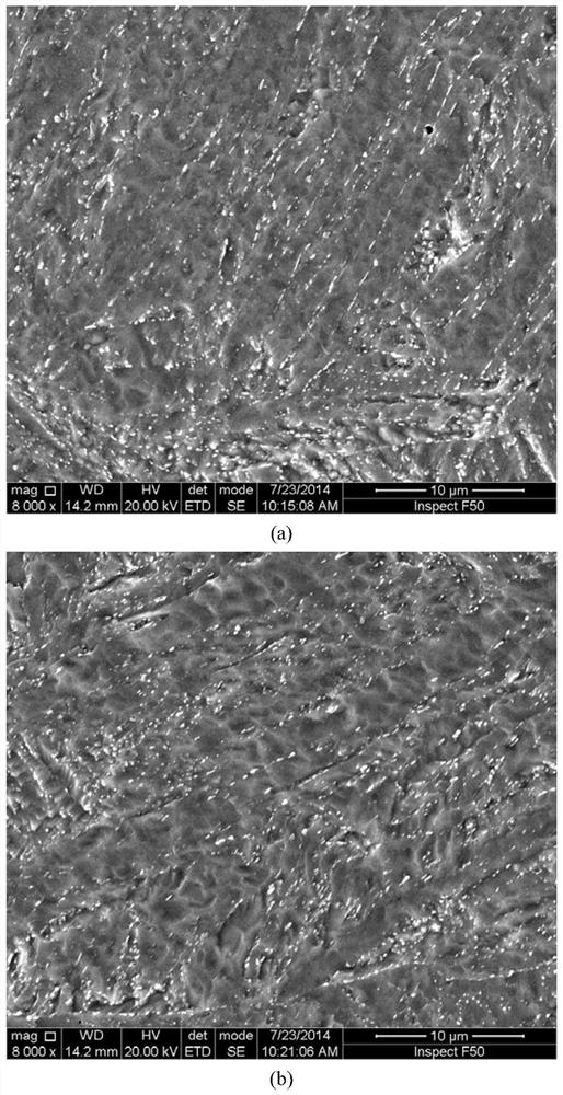 Pretreatment method for improving lead-bismuth corrosion resistance of ferrite-martensite steel