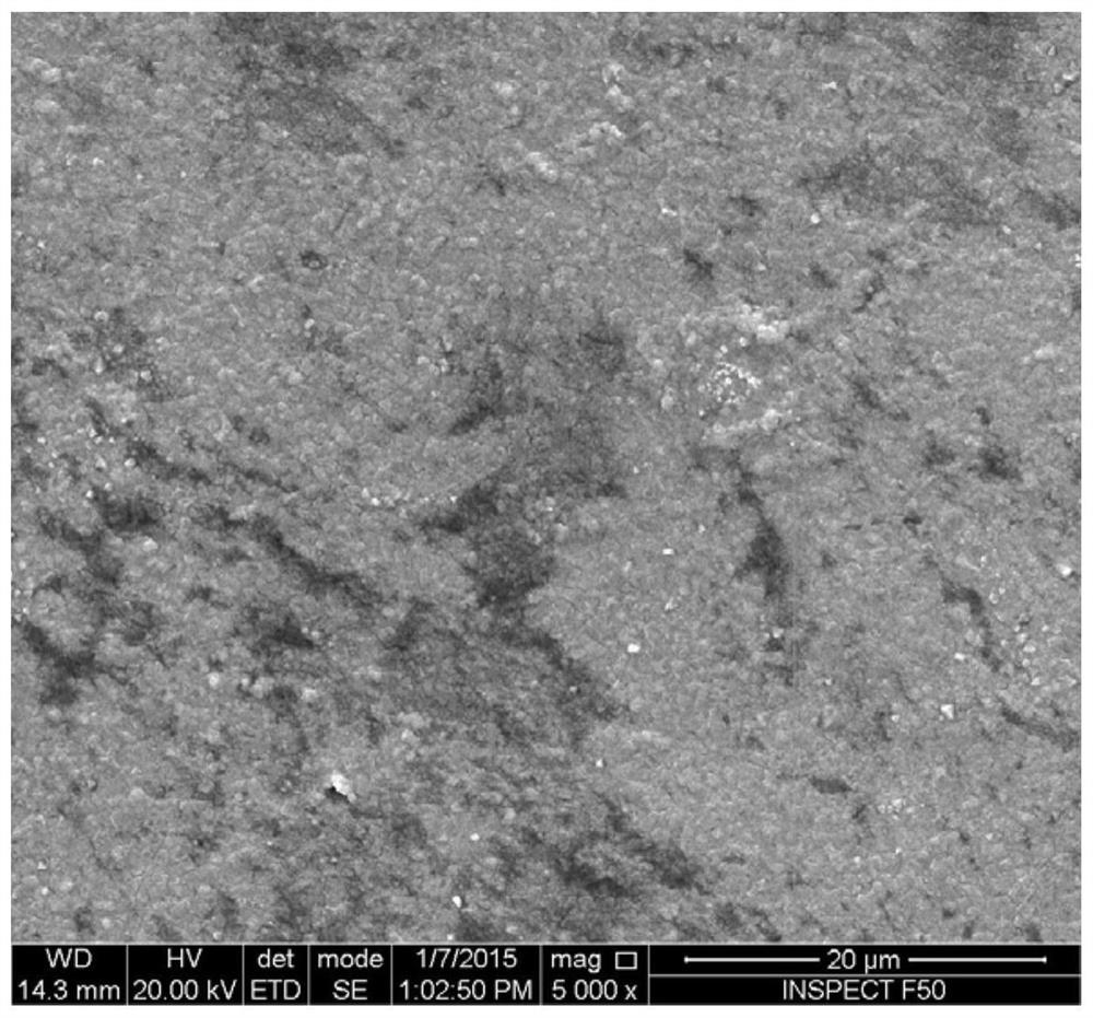 Pretreatment method for improving lead-bismuth corrosion resistance of ferrite-martensite steel