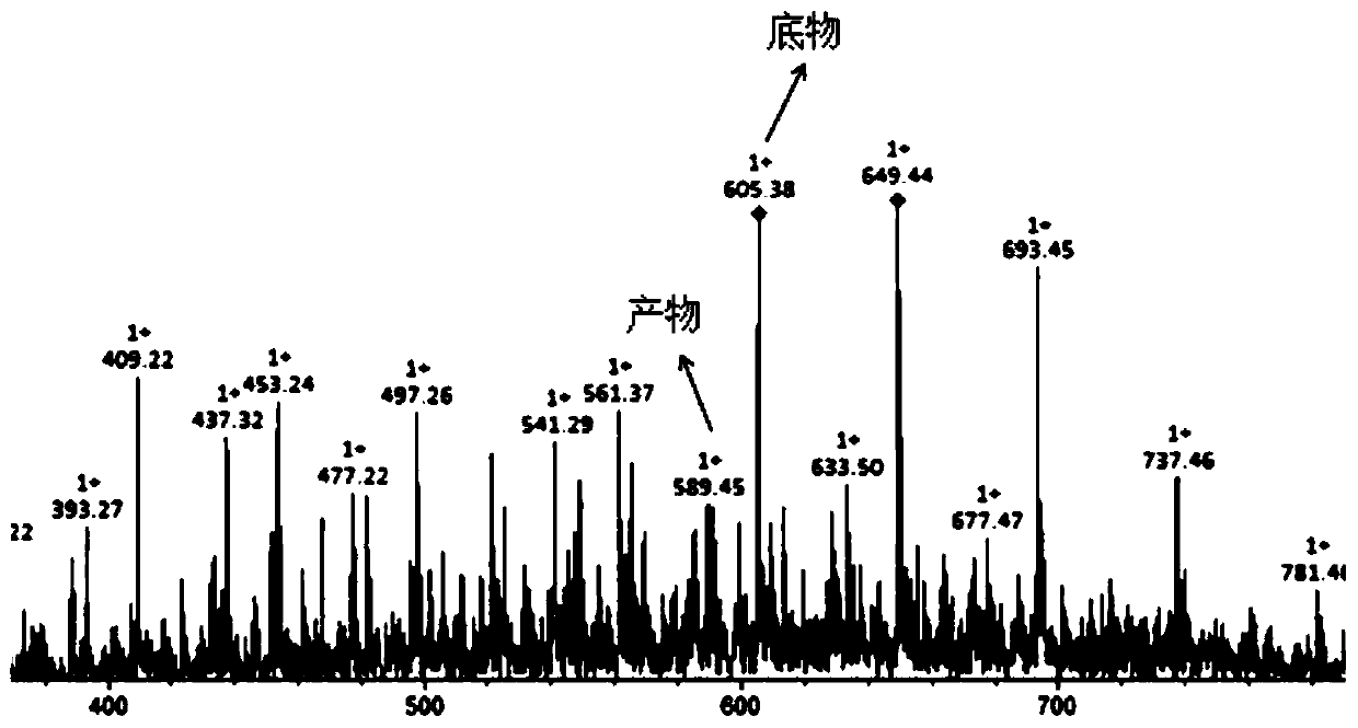 The gene encoding GDP-mannose-4,6-dehydratase in kelp, its protein and its application