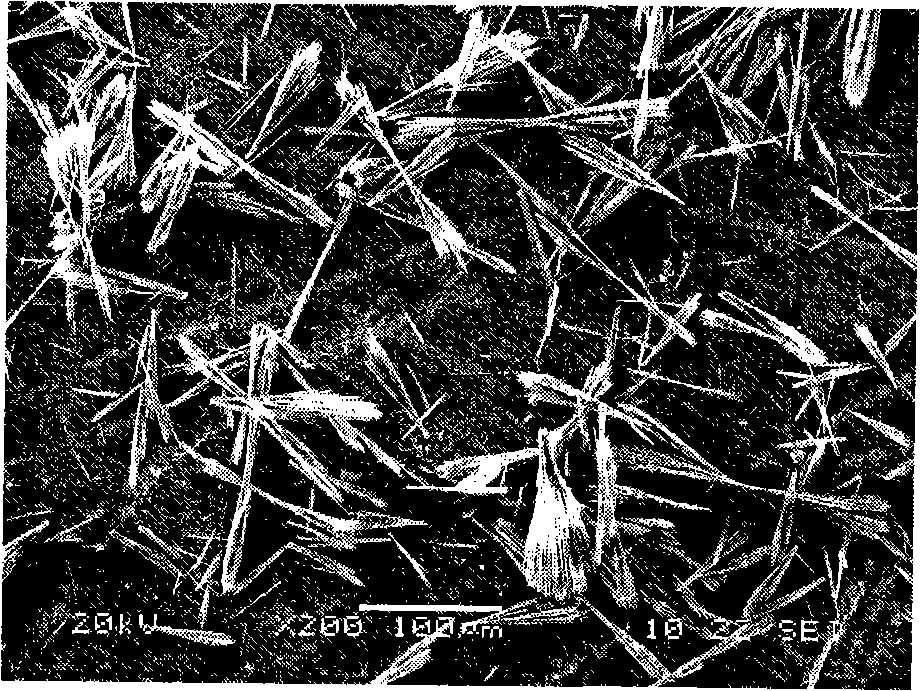 Preparation method of alkali type magnesium sulfate crystal whisker