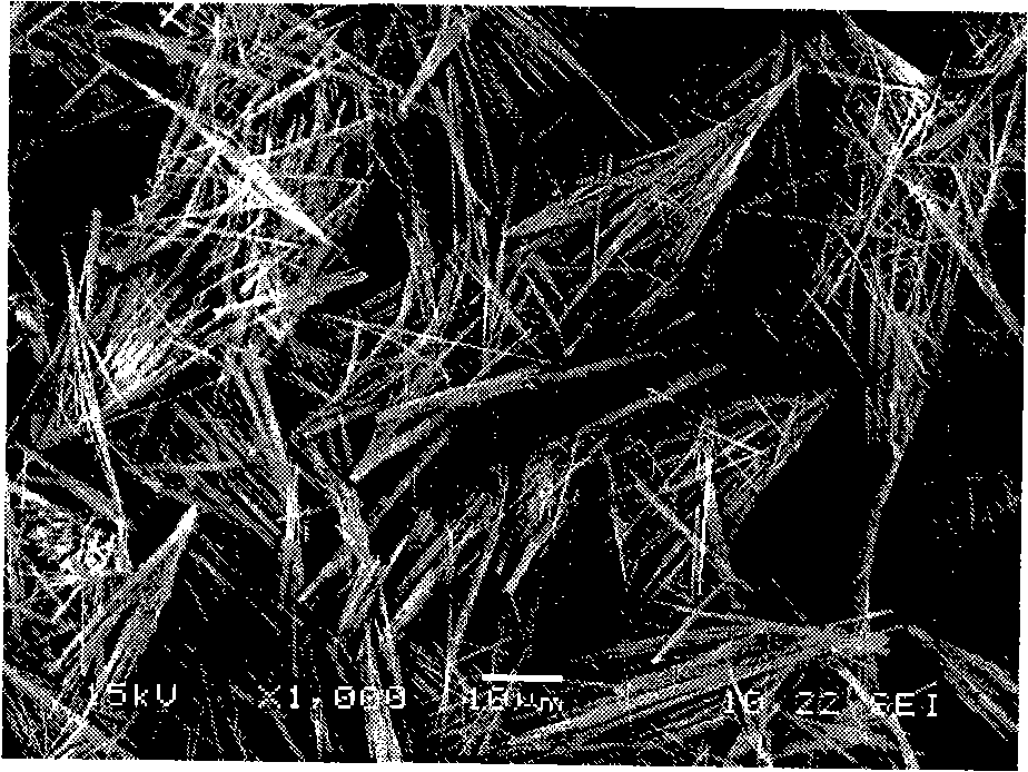 Preparation method of alkali type magnesium sulfate crystal whisker