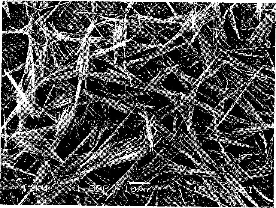 Preparation method of alkali type magnesium sulfate crystal whisker